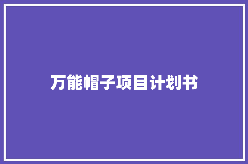万能帽子项目计划书