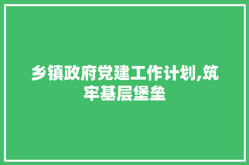 乡镇政府党建工作计划,筑牢基层堡垒，推动乡村振兴