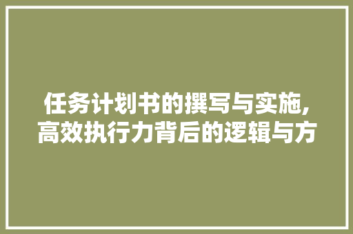 任务计划书的撰写与实施,高效执行力背后的逻辑与方法