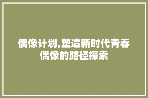 偶像计划,塑造新时代青春偶像的路径探索
