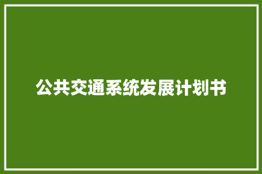 公共交通系统发展计划书