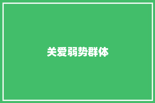 关爱弱势群体，共筑和谐社会_XX慈善计划书