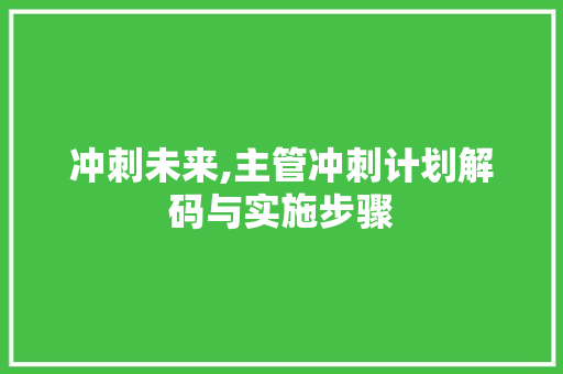 冲刺未来,主管冲刺计划解码与实施步骤
