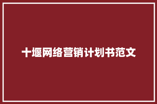 十堰网络营销计划书范文