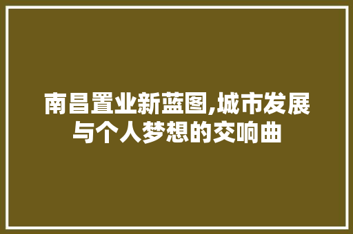 南昌置业新蓝图,城市发展与个人梦想的交响曲