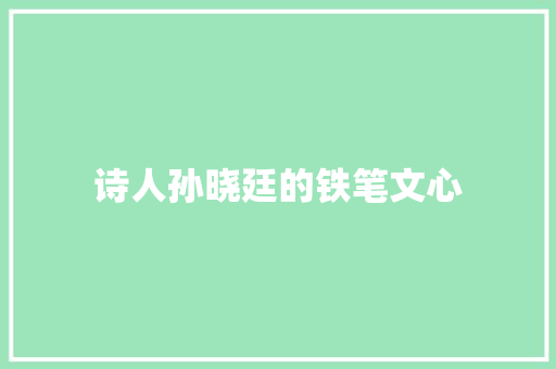 诗人孙晓廷的铁笔文心