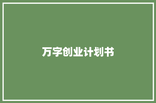 万字创业计划书