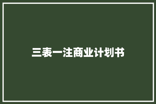 三表一注商业计划书