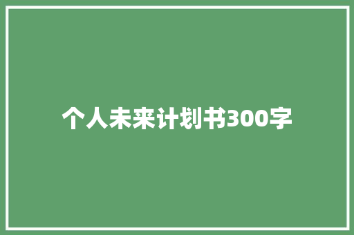 个人未来计划书300字