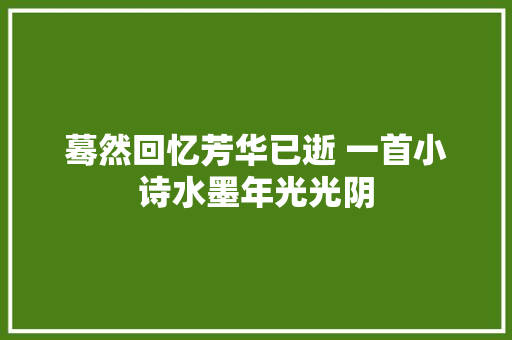 蓦然回忆芳华已逝 一首小诗水墨年光光阴