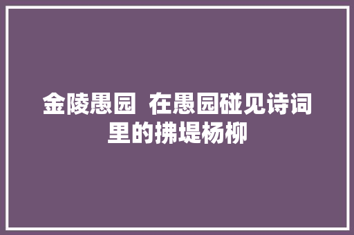 金陵愚园  在愚园碰见诗词里的拂堤杨柳