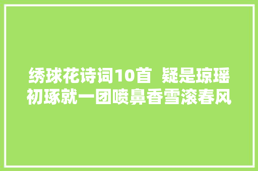 绣球花诗词10首  疑是琼瑶初琢就一团喷鼻香雪滚春风