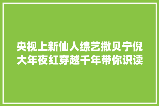 央视上新仙人综艺撒贝宁倪大年夜红穿越千年带你识读尚书