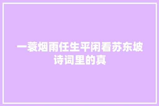 一蓑烟雨任生平闲看苏东坡诗词里的真