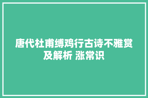 唐代杜甫缚鸡行古诗不雅赏及解析 涨常识