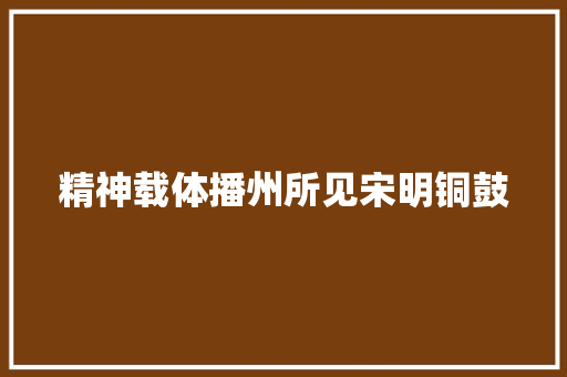 精神载体播州所见宋明铜鼓