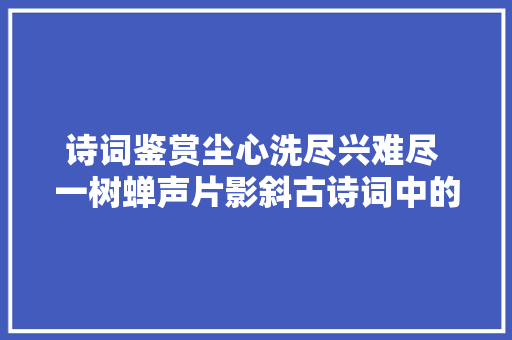 诗词鉴赏尘心洗尽兴难尽 一树蝉声片影斜古诗词中的茶
