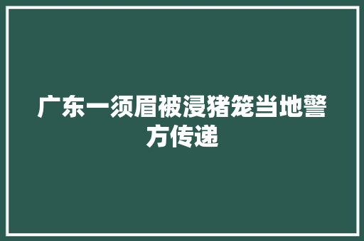 广东一须眉被浸猪笼当地警方传递