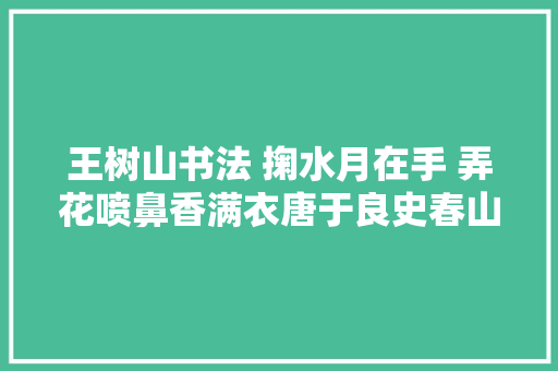 王树山书法 掬水月在手 弄花喷鼻香满衣唐于良史春山夜月诗赏录