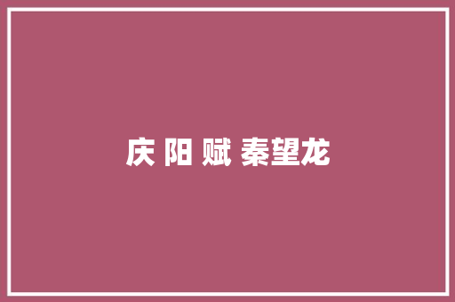 庆 阳 赋 秦望龙