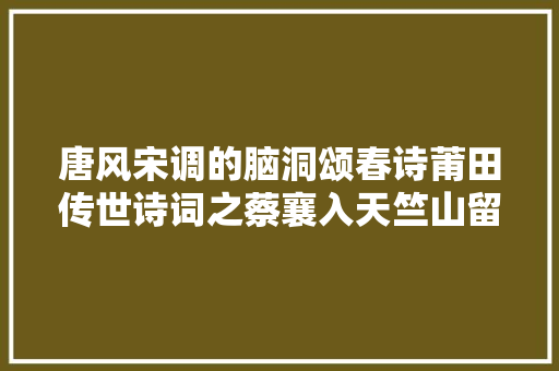 唐风宋调的脑洞颂春诗莆田传世诗词之蔡襄入天竺山留客