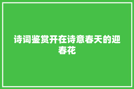 诗词鉴赏开在诗意春天的迎春花