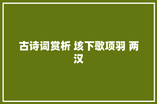 古诗词赏析 垓下歌项羽 两汉