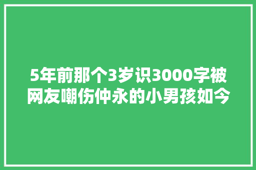 5年前那个3岁识3000字被网友嘲伤仲永的小男孩如今咋样