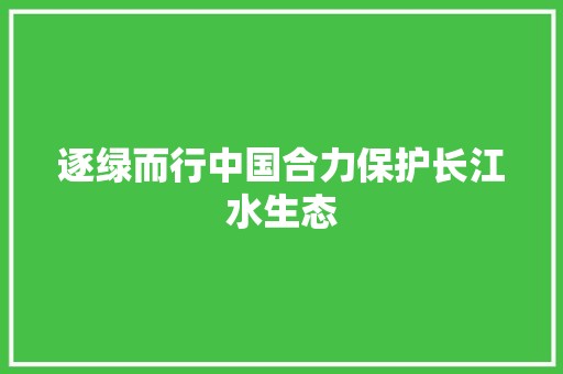 逐绿而行中国合力保护长江水生态