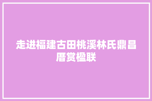 走进福建古田桃溪林氏鼎昌厝赏楹联