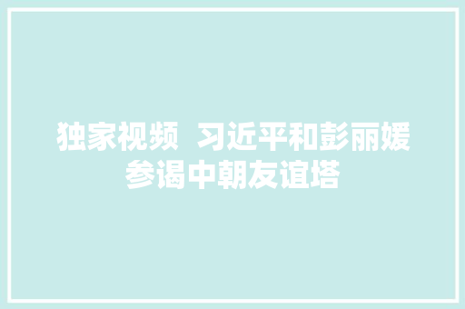 独家视频  习近平和彭丽媛参谒中朝友谊塔