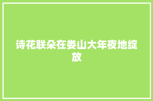 诗花联朵在娄山大年夜地绽放