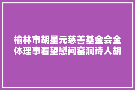 榆林市胡星元慈善基金会全体理事看望慰问窑洞诗人胡少杰
