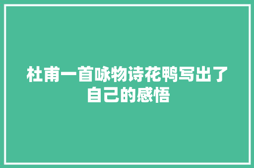 杜甫一首咏物诗花鸭写出了自己的感悟