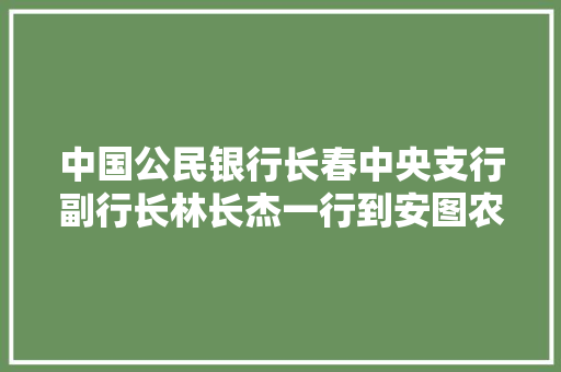 中国公民银行长春中央支行副行长林长杰一行到安图农商行调研指导工作