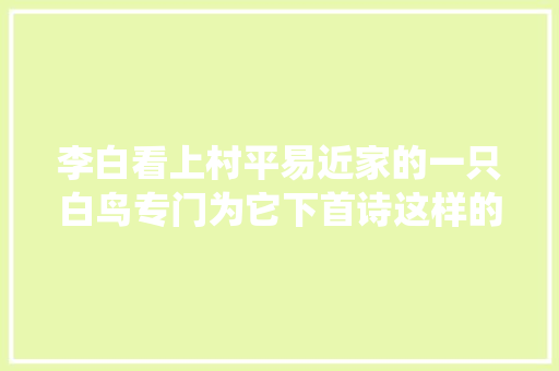 李白看上村平易近家的一只白鸟专门为它下首诗这样的诗仙当真可爱