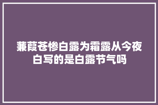 蒹葭苍惨白露为霜露从今夜白写的是白露节气吗