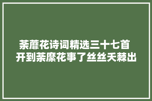 荼蘼花诗词精选三十七首 开到荼縻花事了丝丝夭棘出莓墙