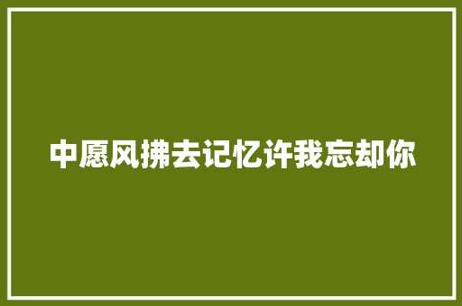 中愿风拂去记忆许我忘却你