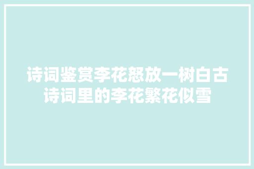诗词鉴赏李花怒放一树白古诗词里的李花繁花似雪