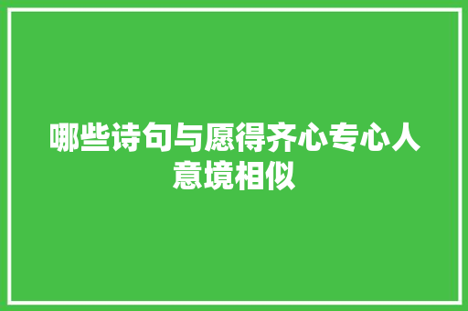 哪些诗句与愿得齐心专心人意境相似
