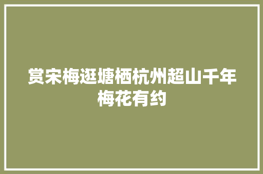 赏宋梅逛塘栖杭州超山千年梅花有约