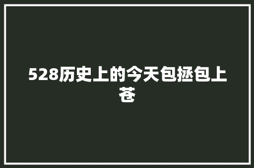 528历史上的今天包拯包上苍