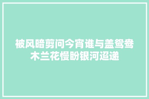 被风暗剪问今宵谁与盖鸳鸯木兰花慢盼银河迢递