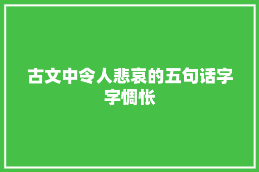 古文中令人悲哀的五句话字字惆怅