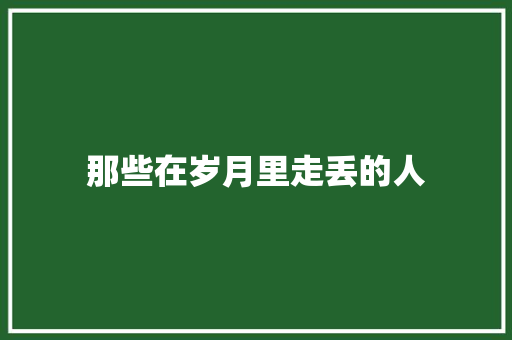 那些在岁月里走丢的人