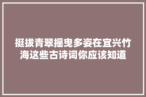 挺拔青翠摇曳多姿在宜兴竹海这些古诗词你应该知道