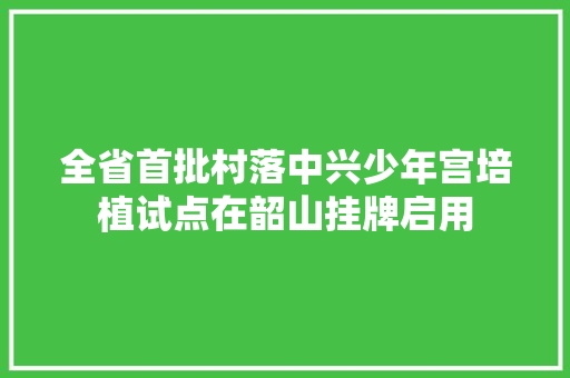 全省首批村落中兴少年宫培植试点在韶山挂牌启用