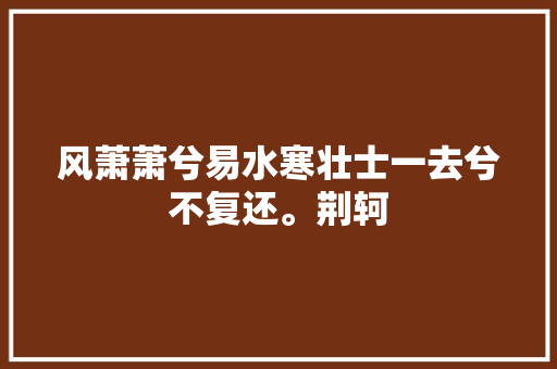 风萧萧兮易水寒壮士一去兮不复还。荆轲