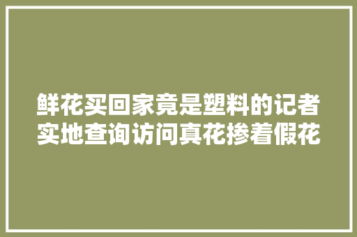 鲜花买回家竟是塑料的记者实地查询访问真花掺着假花卖真的假的